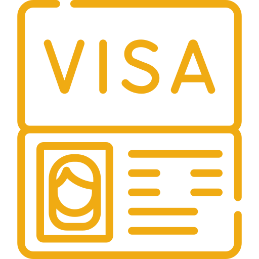віза