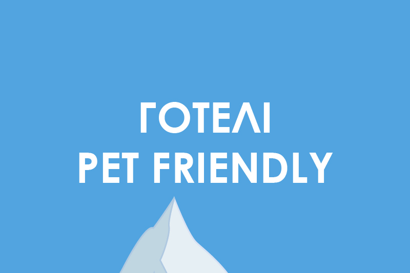 Готелі Pets friedly